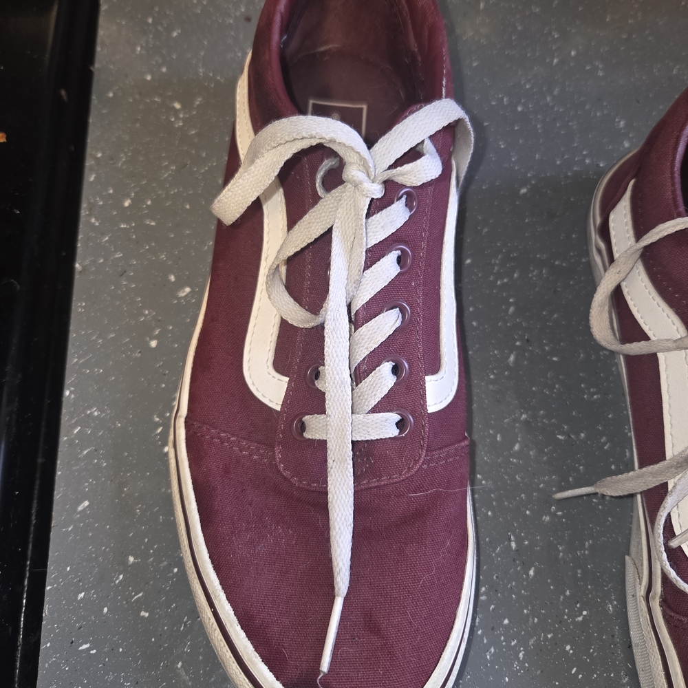 Vans Men's Maroon Canvas Sneakers